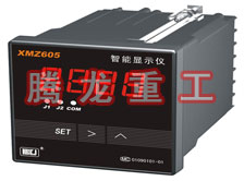 溫度表、數(shù)字顯示儀、濕度表
