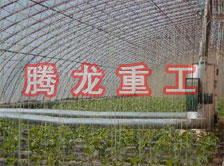 大棚花卉供暖設(shè)備、大棚卉采暖設(shè)備、大棚花卉取暖設(shè)備