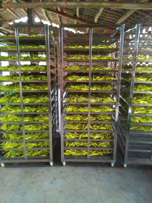 黃花菜烘干機(jī)、黃花菜烘干設(shè)備、黃花菜干燥機(jī)、黃花菜干燥設(shè)備、